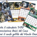 cani-e-gatti-calendario_2010